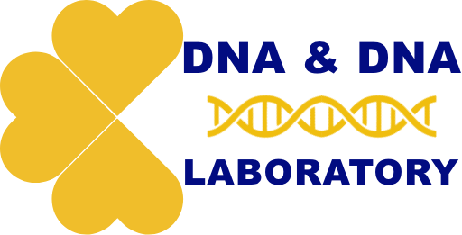 BABALIK DNA TESTİ +90 543 362 1 362
